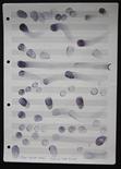 081_Tapp und Tast Musik, 1966

Collage, 29,7 x 21 cm, gerahmt
signiert, datiert und beschriftet

AUSRUFPREIS: 850,-