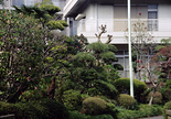 Garden 001