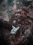aus der Serie 'Collectibles 2.0', 2022

Fotografie/Mixed Media auf Seidenraster, 45 x 30 cm, gerahmt
1/5 + 2 AP, rückseitig signiert und nummeriert

Ausrufpreis: 240,-