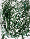O.T., 1995

Lithografie (Ed. Michael Woolworth, Paris), 65,5 x 50,5 cm, gerahmt
25/25, signiert, datiert und beschriftet

AUSRUFPREIS: 1100.-