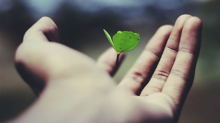 Foto: name_gravity, Unsplash
