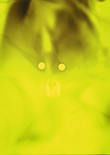 O.T. (Maske gelb), 2019

Sporenstaub, Acryl auf Leinwand, 70 x 50 cm
rückseitig signiert und datiert

AUSRUFPREIS: 600.-