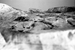Aus der Serie Plastiklandschaften, Nektar, 2015

Analoge Vergrößerung auf Baryt, 19,5 x 13 cm, Künstlerrahmung
1/21+1, hinten signiert

AUSRUFPREIS: 200.-
