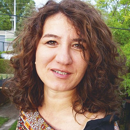 Wo sich die Katze in den Schwanz beißt